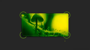 A circular corner borders 3d hover image built with modern frontend techniques for responsive and reusable UI.