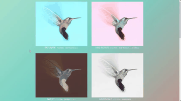 A simple css image filters built with modern frontend techniques for responsive and reusable UI.