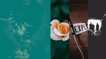 A flexbox flex-grow mast built with modern frontend techniques for responsive and reusable UI.