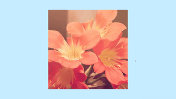 A css only image switcher built with modern frontend techniques for responsive and reusable UI.