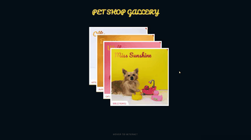 A gallery details built with modern frontend techniques for responsive and reusable UI.