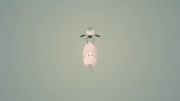 A boh and yubaba's bird [ghibli css series] built with modern frontend techniques for responsive and reusable UI.