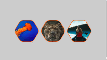 A rounded hexagon images built with modern frontend techniques for responsive and reusable UI.