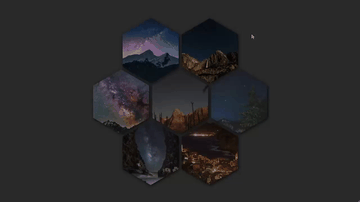 A hive photo gallery grid built with modern frontend techniques for responsive and reusable UI.