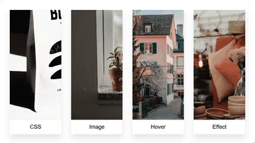 A image hover effect built with modern frontend techniques for responsive and reusable UI.