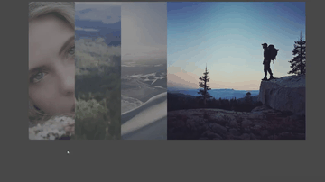 A pure css accordion built with modern frontend techniques for responsive and reusable UI.
