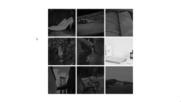 A css image reveal built with modern frontend techniques for responsive and reusable UI.