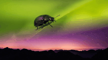 A animated css mask-image gradient built with modern frontend techniques for responsive and reusable UI.