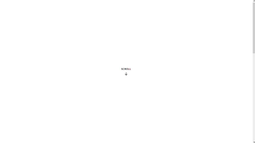 A image mask reveal animation built with modern frontend techniques for responsive and reusable UI.