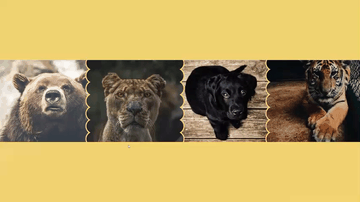 A rounded edges sliding panels built with modern frontend techniques for responsive and reusable UI.