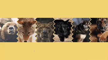 A zig-zag sliding panels (css grid) built with modern frontend techniques for responsive and reusable UI.