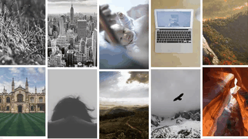 A parallax photo columns with css scroll linked animations built with modern frontend techniques for responsive and reusable UI.