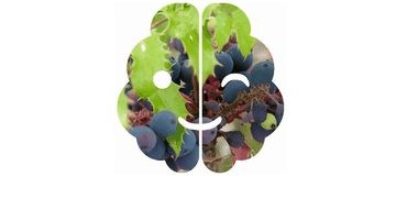 A image cutout, parallax effect: css + svg built with modern frontend techniques for responsive and reusable UI.