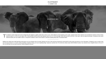 A parallax scroll built with modern frontend techniques for responsive and reusable UI.