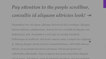 A progress scrollbar css only built with modern frontend techniques for responsive and reusable UI.