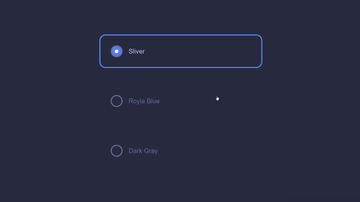 A radio toggles built with modern frontend techniques for responsive and reusable UI.