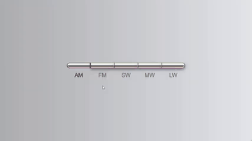 A literal radio buttons built with modern frontend techniques for responsive and reusable UI.
