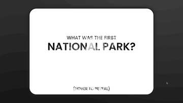 A trivia hide/reveal css built with modern frontend techniques for responsive and reusable UI.