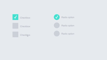 A ripple animation on input type radio and checkbox built with modern frontend techniques for responsive and reusable UI.