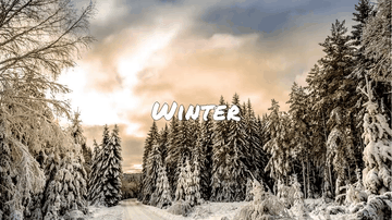 A overlapping sections built with modern frontend techniques for responsive and reusable UI.