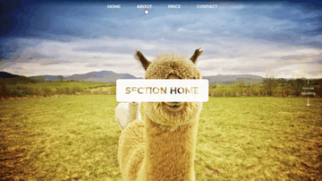 A css scroll-behavior, scroll-snap-type & mix-blend-mode built with modern frontend techniques for responsive and reusable UI.