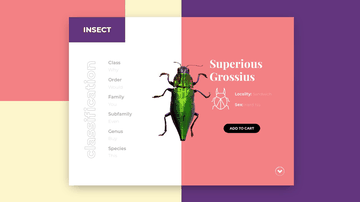 A pure css ecommerce slider built with modern frontend techniques for responsive and reusable UI.