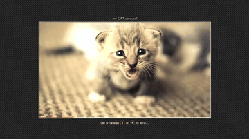 A pure css scroll-snap carousel built with modern frontend techniques for responsive and reusable UI.