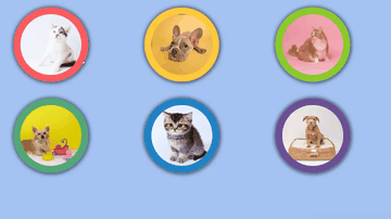 A medals effects examples built with modern frontend techniques for responsive and reusable UI.