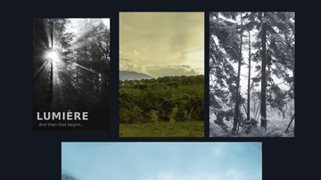 A css image hover effects built with modern frontend techniques for responsive and reusable UI.