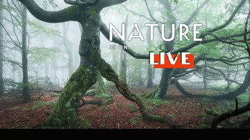 A animated hero header built with modern frontend techniques for responsive and reusable UI.