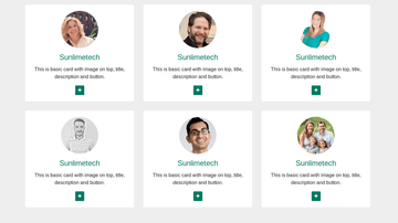 A team design card flipper built with modern frontend techniques for responsive and reusable UI.