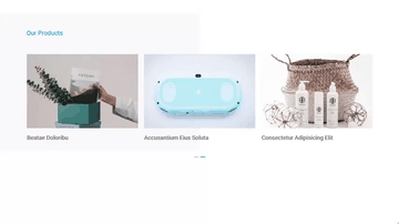 A carousel v12 built with modern frontend techniques for responsive and reusable UI.