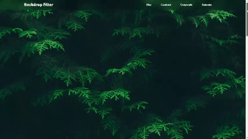 A backdrop filter built with modern frontend techniques for responsive and reusable UI.