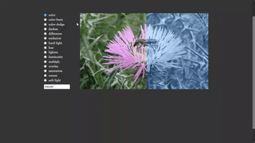 A background-blend-mode built with modern frontend techniques for responsive and reusable UI.