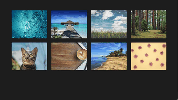A image gallery using bootstrap 4 built with modern frontend techniques for responsive and reusable UI.