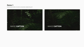 A bootstrap image hover built with modern frontend techniques for responsive and reusable UI.