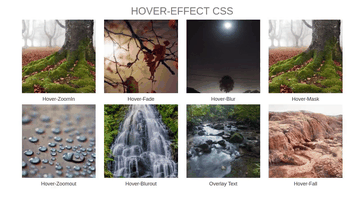 A hover effect css for bootstrap gallery built with modern frontend techniques for responsive and reusable UI.