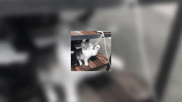 A blurred video effect with css filter built with modern frontend techniques for responsive and reusable UI.