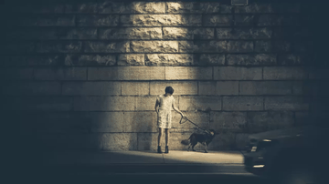 A hover effect blur built with modern frontend techniques for responsive and reusable UI.