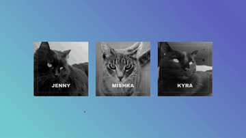 A animated card flip built with modern frontend techniques for responsive and reusable UI.