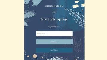 A anthropologie email sign up form built with modern frontend techniques for responsive and reusable UI.