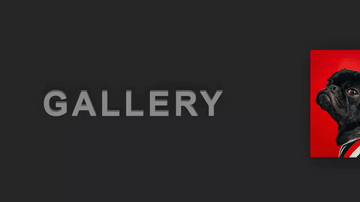 A gallery - tilt hover effect built with modern frontend techniques for responsive and reusable UI.