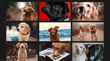 A photo gallery built with modern frontend techniques for responsive and reusable UI.