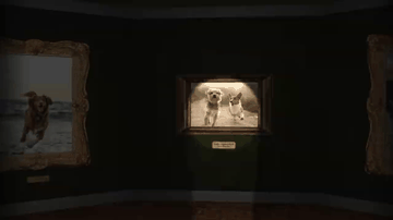 A night at the museum of very good boys built with modern frontend techniques for responsive and reusable UI.