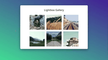 A lightbox gallery built with modern frontend techniques for responsive and reusable UI.