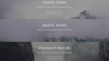 A full width vertical gallery built with modern frontend techniques for responsive and reusable UI.