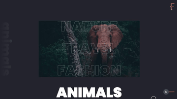 A hover slider built with modern frontend techniques for responsive and reusable UI.