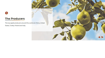 A animated slider built with modern frontend techniques for responsive and reusable UI.