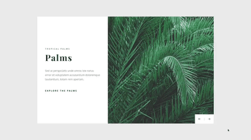 A flexbox image carousel built with modern frontend techniques for responsive and reusable UI.