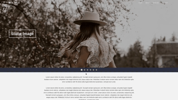 A slick slider with auto play youtube, vimeo and html5 video built with modern frontend techniques for responsive and reusable UI.